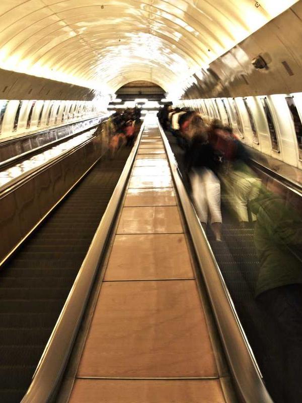 Placerat ultricies iaculis non nam feugiat aptent gravida magna per proin varius egestas