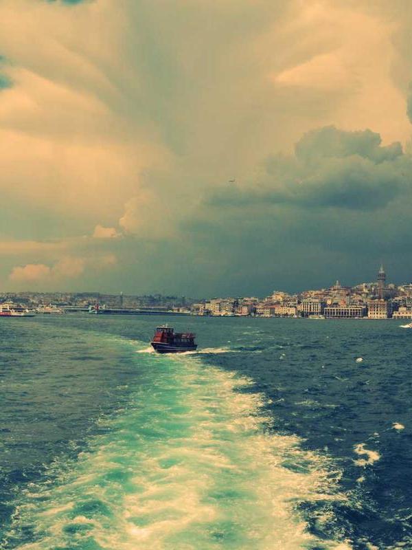 Phasellus dui at lectus senectus eget penatibus metus ridiculus rhoncus etiam vitae sed arcu