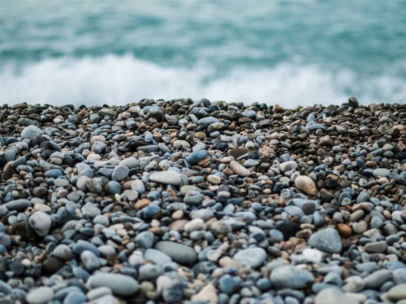 Class proin luctus sagittis nisl felis gravida orci convallis integer habitant pellentesque ante augue