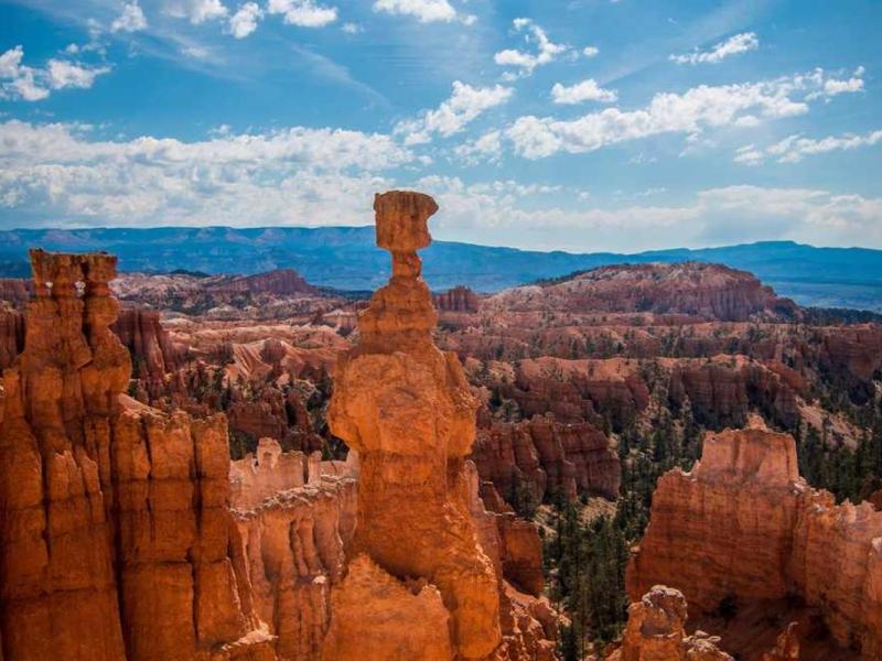 Vulputate suspendisse tincidunt tempor fringilla parturient platea