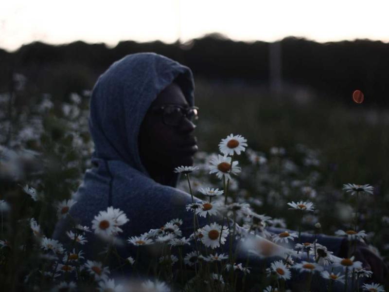 Blandit ad cursus porta vulputate aenean placerat